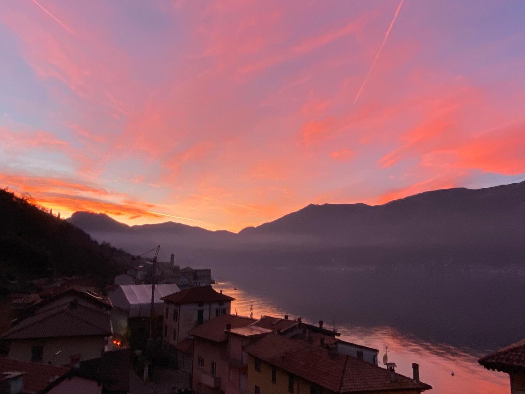 Tiziana Lake Como View Terraces Apartment Lezzeno Ngoại thất bức ảnh
